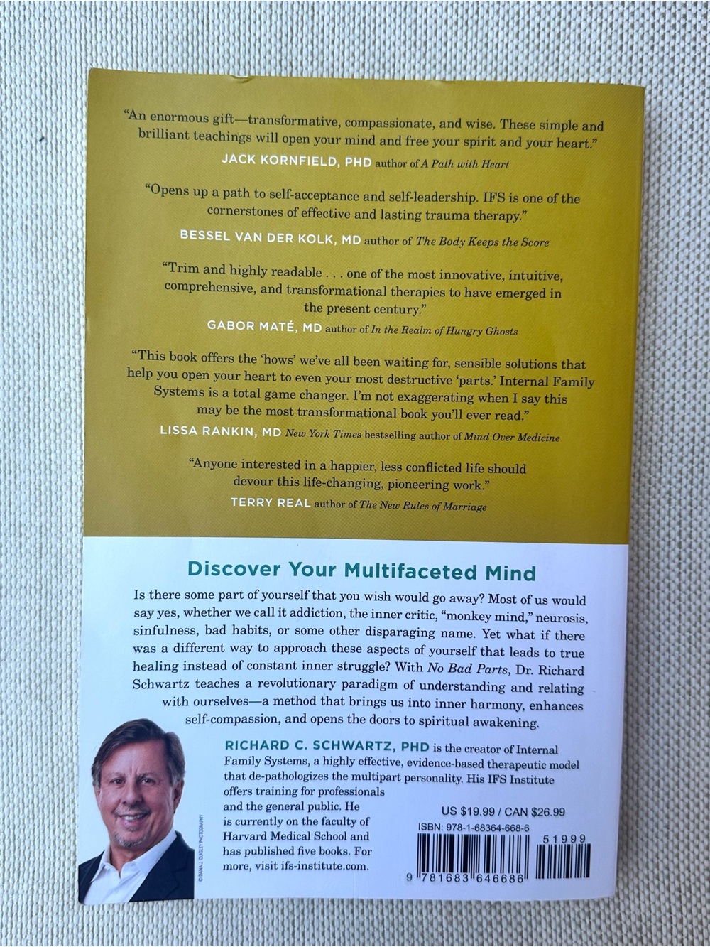 No Bad Parts by Richard C. Schwartz - Picture 2 of 3